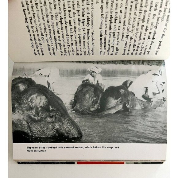 Elephant Bill Lt Col Williams 1950 First Edition Burma Biography HC Photos BKBX5 - Picture 4 of 10